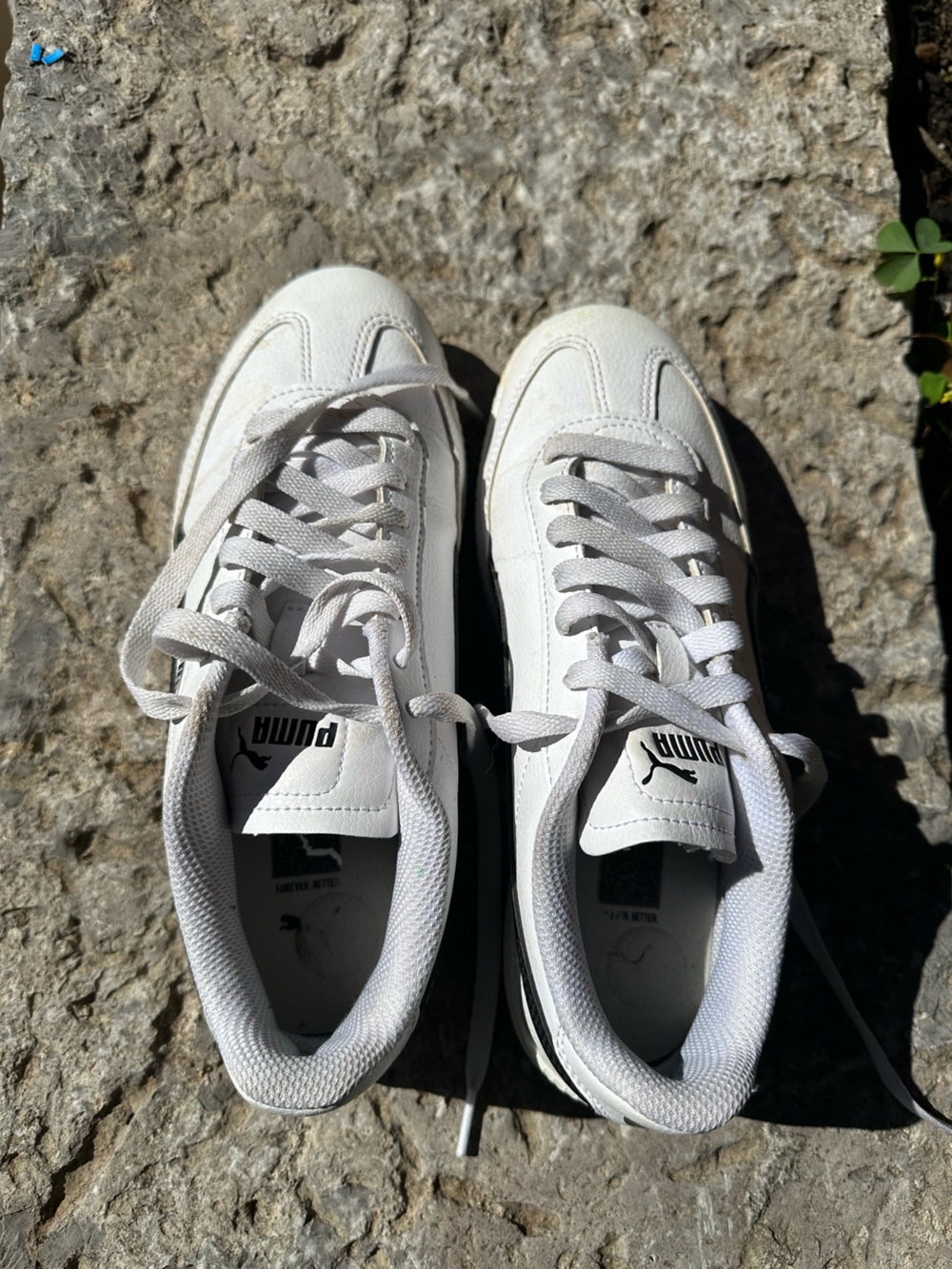 Puma Women White Lace-Up Low-Top Sneakers
